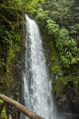 The waterfalls of La Paz in the jungle of Costa Rica,