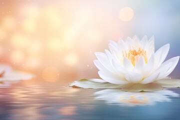 White lotus flower symbolizes purity in Buddhism floating on water with a soft blurry reflection on a pastel dream background