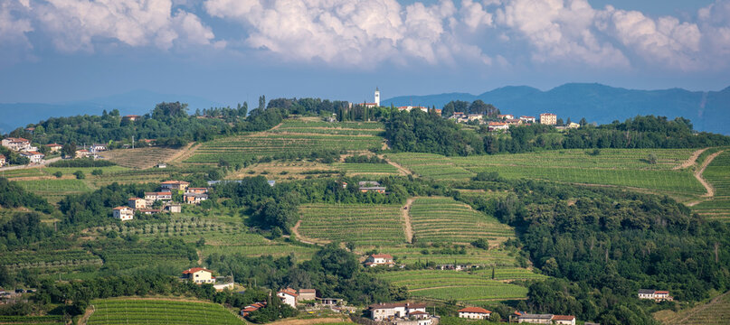 Panoramic view of &Scaron;teverjan (San Floriano del Collio), Italy
