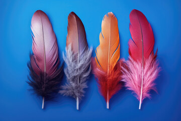 Colored feathers with a metallic tint