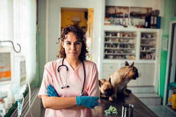 Portrait of a confident female veterinarian posing in a veterinary clinic