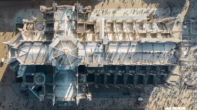 Roof of Notre Dame in daytime