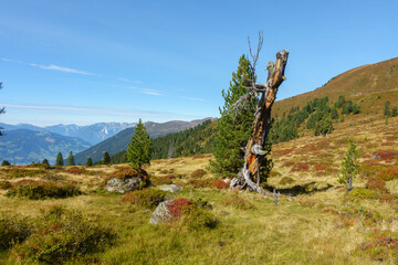 Herbstliche Berglandschaft im Zillertal in Tirol
