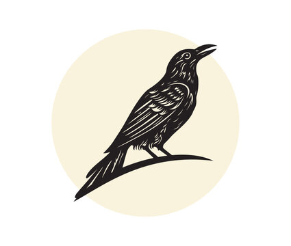 recommend clip art: Vintage Retro Black Raven Crow Bird Design Vector logo illustration