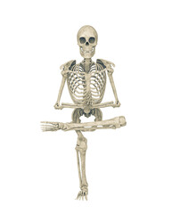 skeleton is doing a namaste yoga pose one