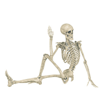 skeleton is doing a namaste yoga pose four