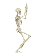 skeleton is doing a namaste yoga pose