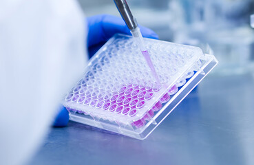 cell culture at the medicine, medical and biology laboratory, cancer science experiment at the...