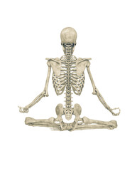 skeleton is doing a relaxing namaste yoga pose in rear pose