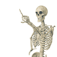 skeleton is pressing a virtual button with copy space - 654514571