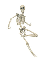 skeleton is running for some action