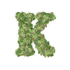 Symbol from autumn green leaves. letter k
