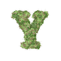 Symbol from autumn green leaves. letter y