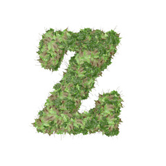 Symbol from autumn green leaves. letter z