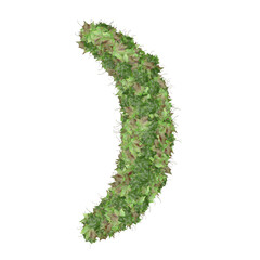 Symbol from autumn green leaves