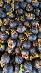 Mangostán, fruta exótica a granel.