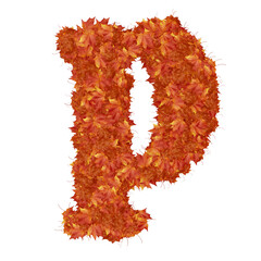Symbol from autumn redheaded leaves. letter p