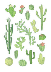 Cactus vector doodle illustrations set.