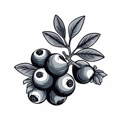 Blueberry in cartoon, doodle style. 2d vector illustration in logo, icon style. AI Generative