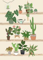 Home plants vector illustrations set.