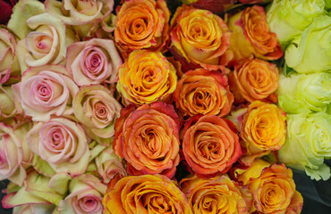 bouquets of rose flowers with different color