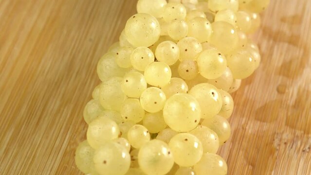 Grape close up, concept winemaking, wine production, vine variety. Fresh bunches of grapes of sultana sort or seedless grape rotate as background