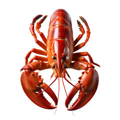 lobster png ,Fresh red lobster isolated on transparent background ,generative ai