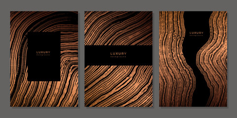 Set of templates. Luxury golden background with wood annual rings texture. Banner with tree ring pattern. Stamp of tree trunk in section. Wooden concentric circles. Black and bronze marble background