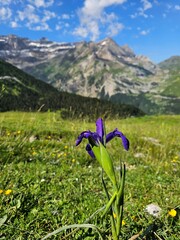Cirque de Gavarnie