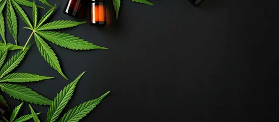 Fotobehang Green cannabis leaves surrounded by dropper bottles and capsules in a top view with strong shadows Natural health remedy CBD oil eco friendly alternative medicine © TheWaterMeloonProjec