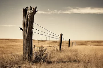 Deurstickers Panoramic views of dry, drought stricken farm land through old steel locked farm gates on a hot afternoon . © BackgroundHolic