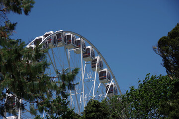Fototapeta premium SkyStar Ferriswheel in the Golden Gate Park in San Francisco
