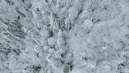 Poster Top view of snow-covered winter forest. Clip. Coniferous forest with snow trees on cloudy day. Vast forest with snow in winter © Media Whale Stock