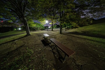 Tokyo, Japan - September 30, 2023: Benches in a park in the night
