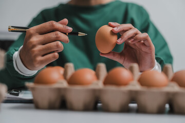 Skilled food factory technologist meticulously examines chicken eggs on production line, ensuring...