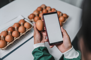 Skilled food factory technologist meticulously examines chicken eggs on production line, ensuring...