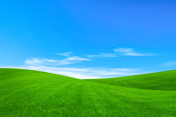 Lush green grass under bright blue sky with clouds