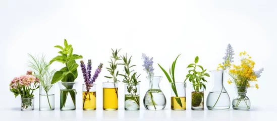 Gordijnen Herbal medicine plant in glass vial white background © TheWaterMeloonProjec