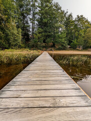 wooden boat dock in the forest