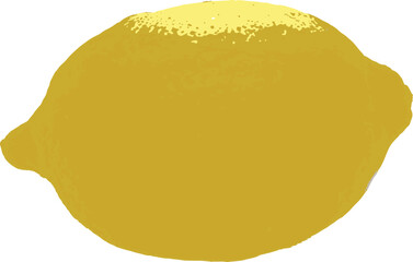 Yellow Lemon isolated on a background vector