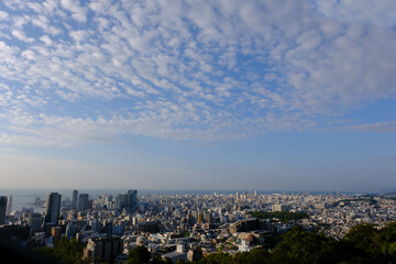 Fototapeta na wymiar 秋の空。鱗雲と神戸市街地。早朝神戸高台のヴィーナスブリッジより撮影
