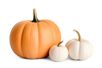 Halloween pumpkins isolated on transparent background, Generative AI