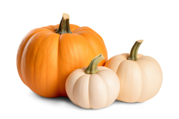 Halloween pumpkins isolated on transparent background, Generative AI