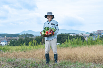 野菜を持つシニア日本人男性