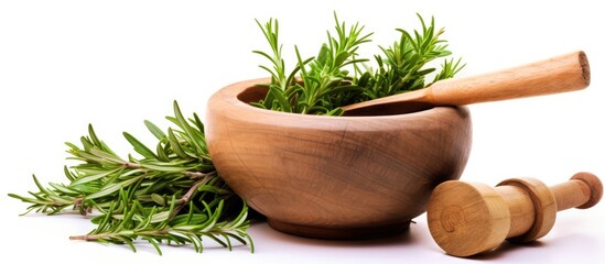 Yew herb sprigs in rustic mortar Used in alternative medicine isolated