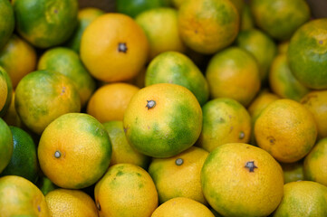 緑と黄色のみかん