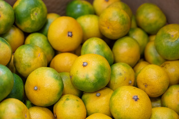 緑と黄色のみかん