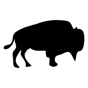 silhouette of a byson