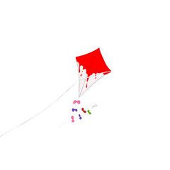 kite in the sky