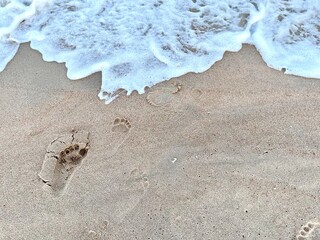 Tropical beach summer day